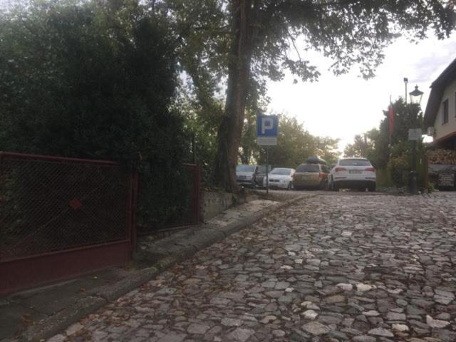 桑多梅日Zielone Wzgorze Na Starowce公寓 外观 照片